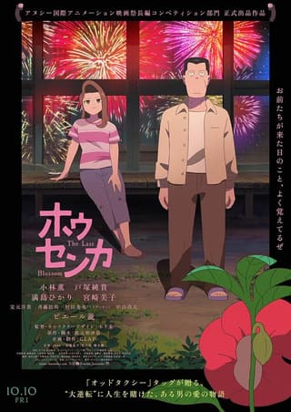 《凤仙花》海报